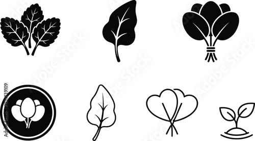 Leaf and plant icon set featuring spinach basil bouquet sprout black silhouette vector collection botanical illustration isolated