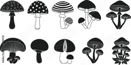 Collection of black mushroom silhouettes featuring various fungi species including agaric chanterelle and toadstools for autumn nature projects botanical art and forest ecology graphic design