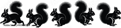 Collection of black squirrel silhouettes in various poses including sitting standing and running for wildlife nature projects autumn forest animal icons and decorative graphic design