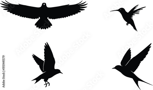 Flying bird silhouettes set, eagle and hummingbird black vector illustration isolated on white background for logo design