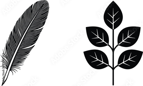 Minimalist feather and leaf icons set, black silhouette botanical elements, nature inspired vector illustration isolated on white background