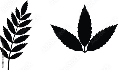 Cannabis leaf silhouettes set, hemp plant botanical icons, black minimalist vector illustration isolated on white background for design use