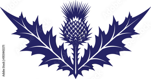 Elegant Scottish thistle silhouette vector illustration with symmetrical leaves traditional floral emblem isolated design for heritage branding
