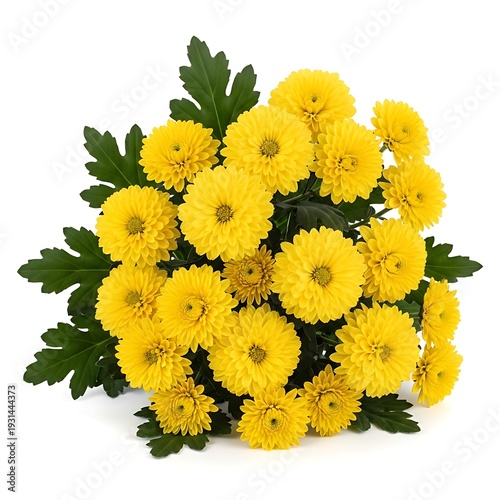 Wallpaper Mural A bouquet of bright yellow chrysanthemum flowers Torontodigital.ca