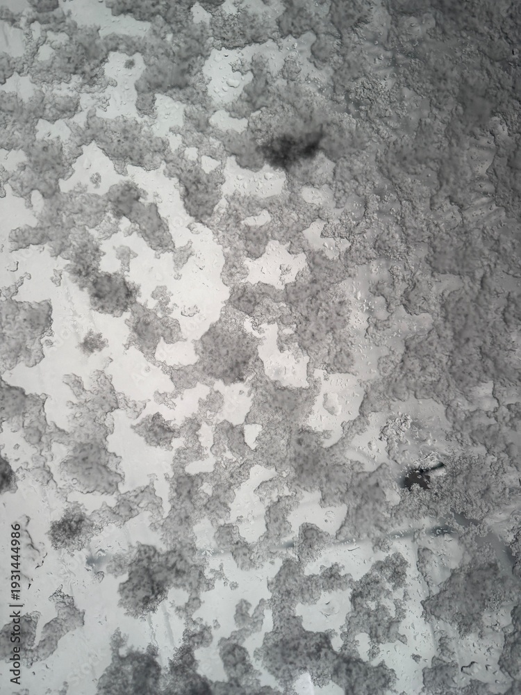 Obraz premium A detailed top-down or close-up shot of melting snow and wet slush forming abstract white and grey patterns on a transparent glass surface, capturing the raw texture of a cold winter precipitation