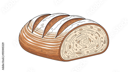 Freshly baked artisan bread on a white background