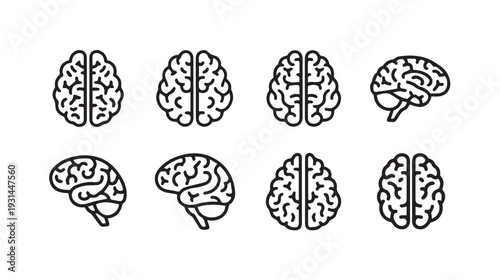 Brain Icons Set Anatomical Human Brain Outline Graphics Medical Science Symbols