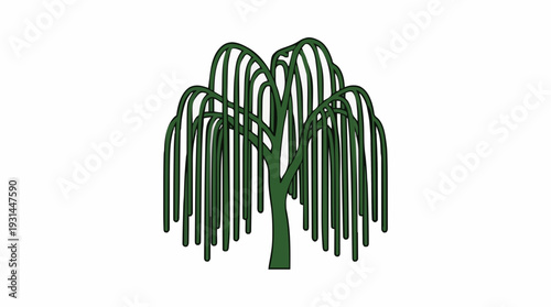 Green weeping willow tree with dark green branches and leaves against a white background stylized illustration