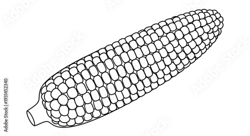 Simple line drawing of a corn cob with husk isolated on a white background