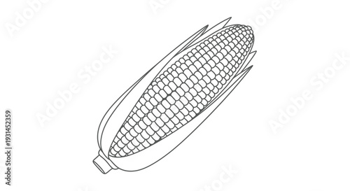 Simple line drawing of a single ear of corn on a white background