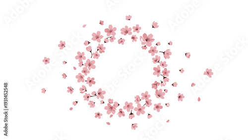 Circular wreath or frame composed of small pink cherry blossom flowers and buds is isolated on a white background for spring designs.