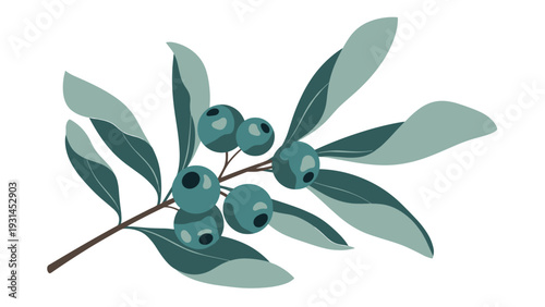 Elegant botanical branch with dark blue berries and muted green leaves provides a sophisticated natural element for seasonal decorations.
