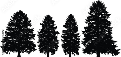 Pine tree silhouettes set, evergreen forest elements, tall conifer trees black outlines, nature landscape vector collection for design, background, branding use