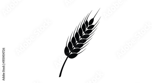 A striking black silhouette of a wheat stalk against white background