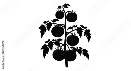 A black silhouette of a tomato plant with ripe fruit silhouette