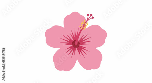 Pink Hibiscus Flower With Red Center And Yellow Stamen On White Background Isolated Tropical Bloom
