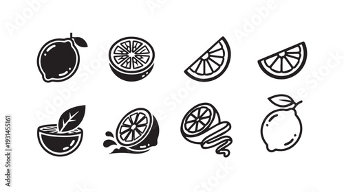 Citrus Fruit Icons: Whole Lemon Slices Half and TwistBlack and White Line Art