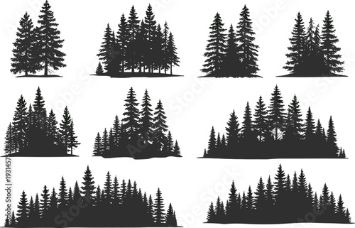 Flat vector silhouettes of pine trees, coniferous forest clusters, evergreen landscape design, nature illustration, outdoor woodland scenery, environmental art collection
