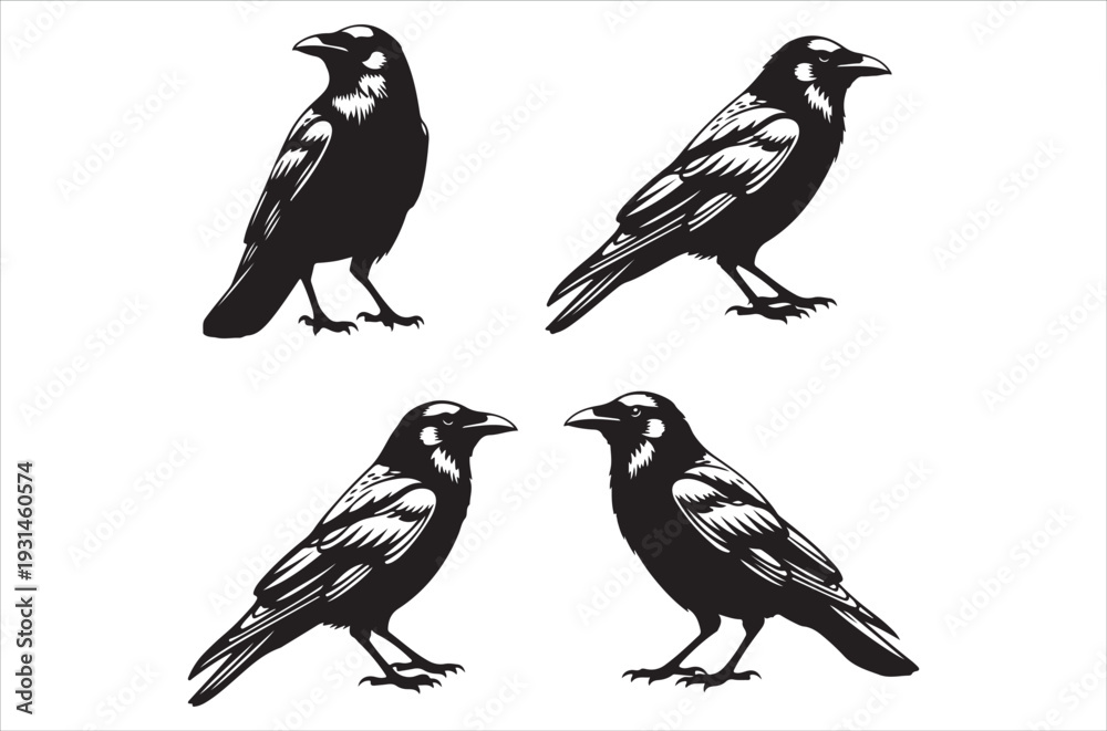 Fototapeta premium Four black ravens depicted in a simple graphic style illustration