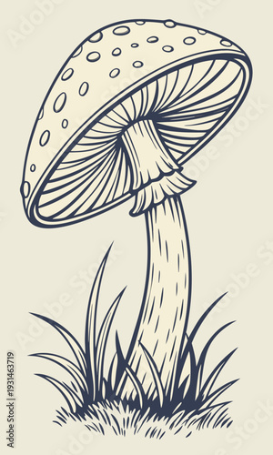 Detailed HandDrawn Mushroom Illustration Growing in Grass.