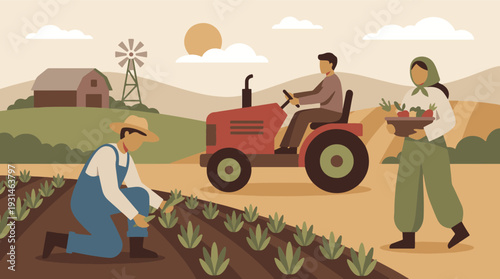 Farmers working on an agricultural field with tractor and harvested crops