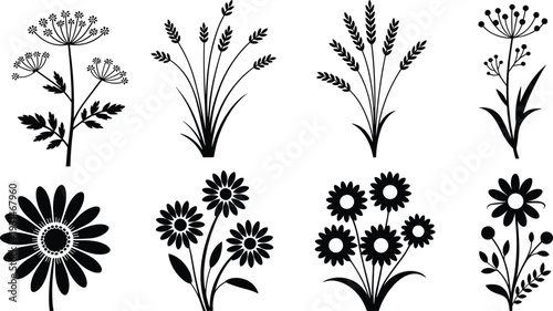 Black and white of various flowers and plants botanical