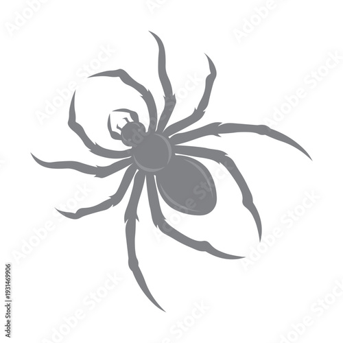 vector silhouette of a spider