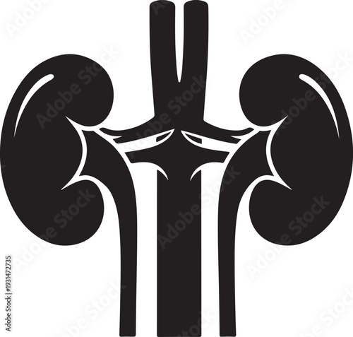 WebHuman Kidney Internal Organ System Vector Icon Isolated on White Background
