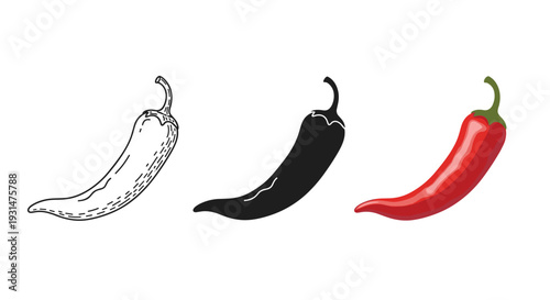 Three different graphic styles of a hot red chili pepper including a detailed outline, a solid silhouette, and color.