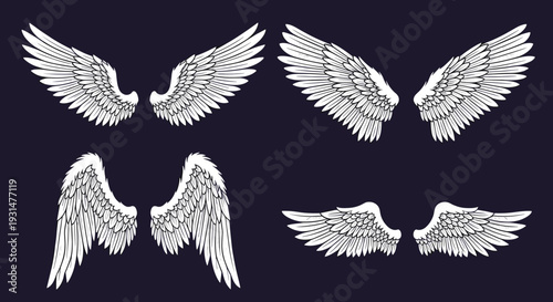Four pairs of detailed white wings with intricate feather patterns isolated on a dark blue background for angelic or mythical designs.