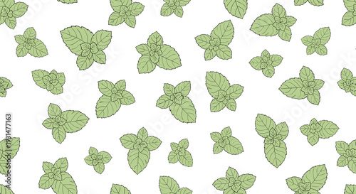 Seamless pattern of light green mint leaves or herbs scattered across a white background for culinary or wellness-themed designs.