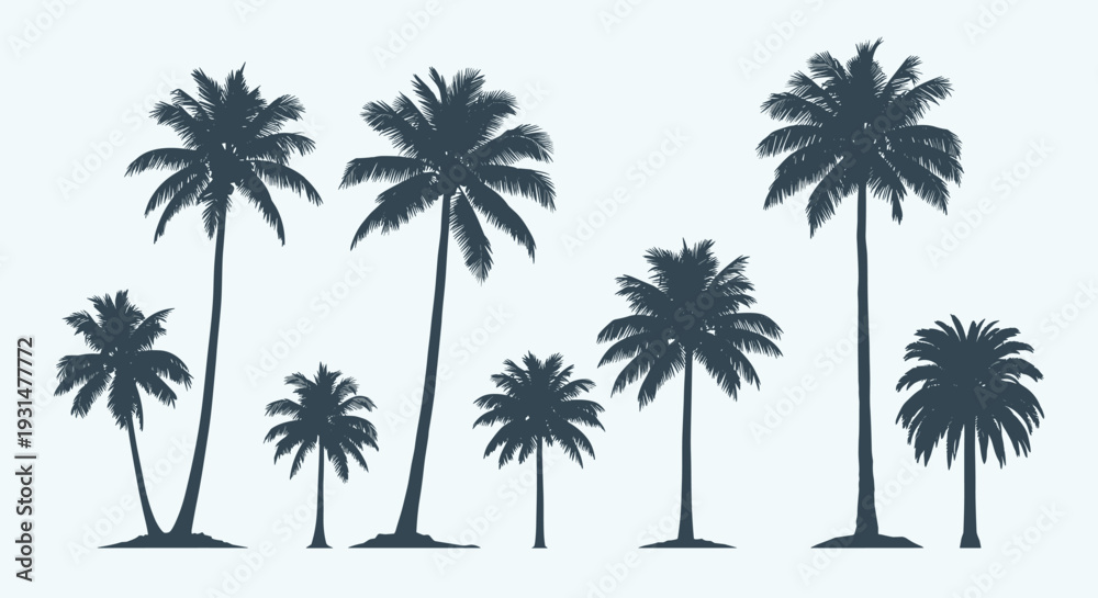 Obraz premium Silhouettes of various species of tropical palm trees of different sizes and shapes on a light background.