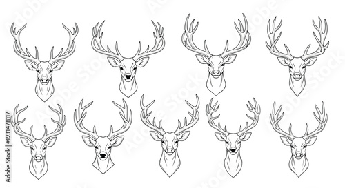 Collection of ten detailed black and white line drawings of deer heads with majestic antlers.