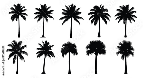 Collection of ten different palm tree silhouettes in black against a white background for tropical and summer themed designs.