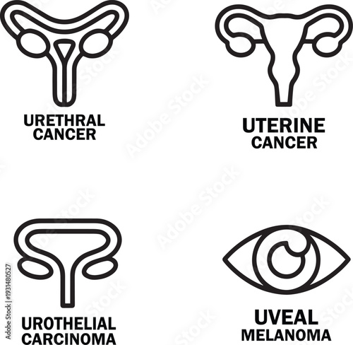 Urethral Uterine Urothelial Carcinoma Uveal Cancer Line Icons Medical Outline Illustration