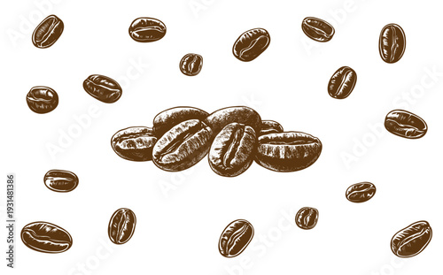 Background with coffee beans illustration