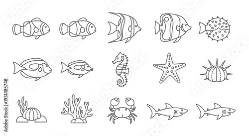 Collection of Simple Hand Drawn Sea Creatures.