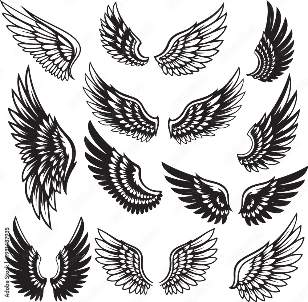 Fototapeta premium wings silhouette vector