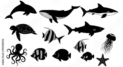 Assorted marine life silhouettes including dolphins, sharks, and fish, displayed against a plain background from a straightforward viewpoint
