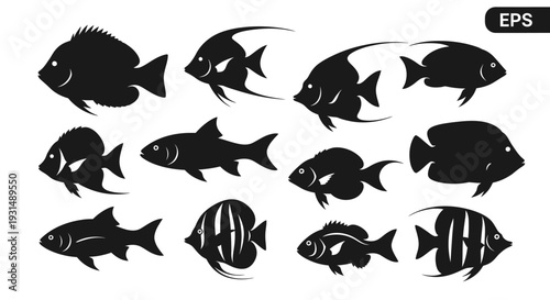Collection of diverse fish silhouettes in various orientations and shapes, showcasing different species and forms
