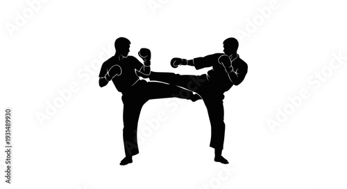 Silhouette of Two Martial Artists Sparring in Combat Stance