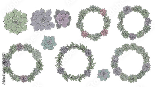 A beautiful collection of hand-drawn succulent plants and wreaths in muted green and purple tones, perfect for wedding invitations, logos, and botanical designs.