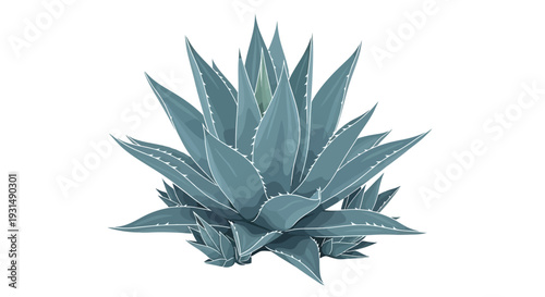 Realistic illustration of a blue agave plant on white background