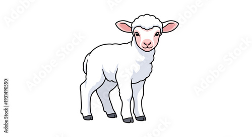 Cute cartoon lamb illustration on white background
