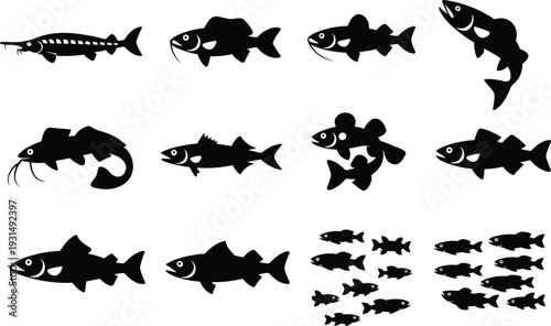 Fish silhouettes vector set, freshwater and marine species icons, black aquatic animals collection, minimalist fishing design illustration