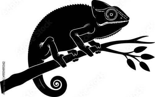 chameleon on a branch silhouette vector illustration