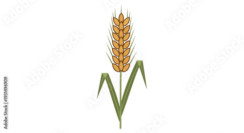 Illustration of a golden wheat ear with green leaves