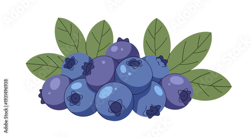 Vector illustration of fresh blueberries with green leaves