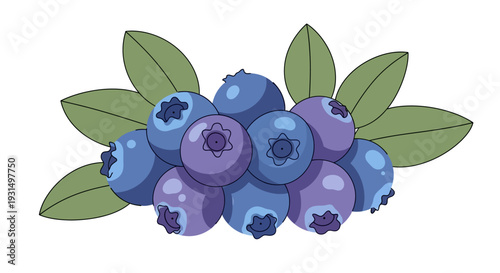 Vector illustration of fresh blueberries with green leaves
