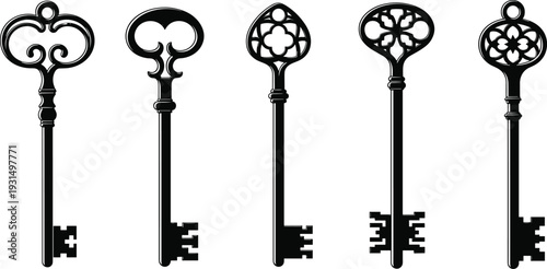 Vintage skeleton keys collection, antique ornate keys, decorative metal key set, retro locksmith tools, collectible old keys, rustic design inspiration